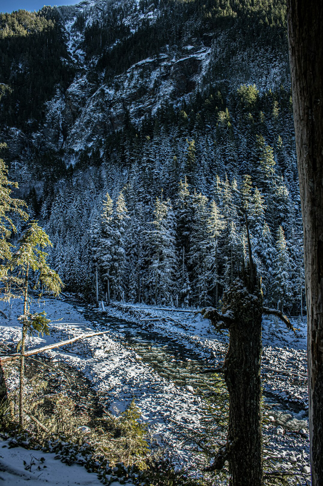 Sunlit valley with mountains and river