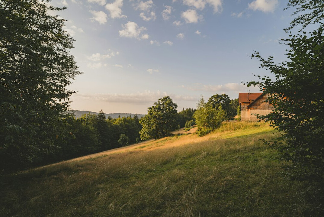 romantic couple in polish landscape