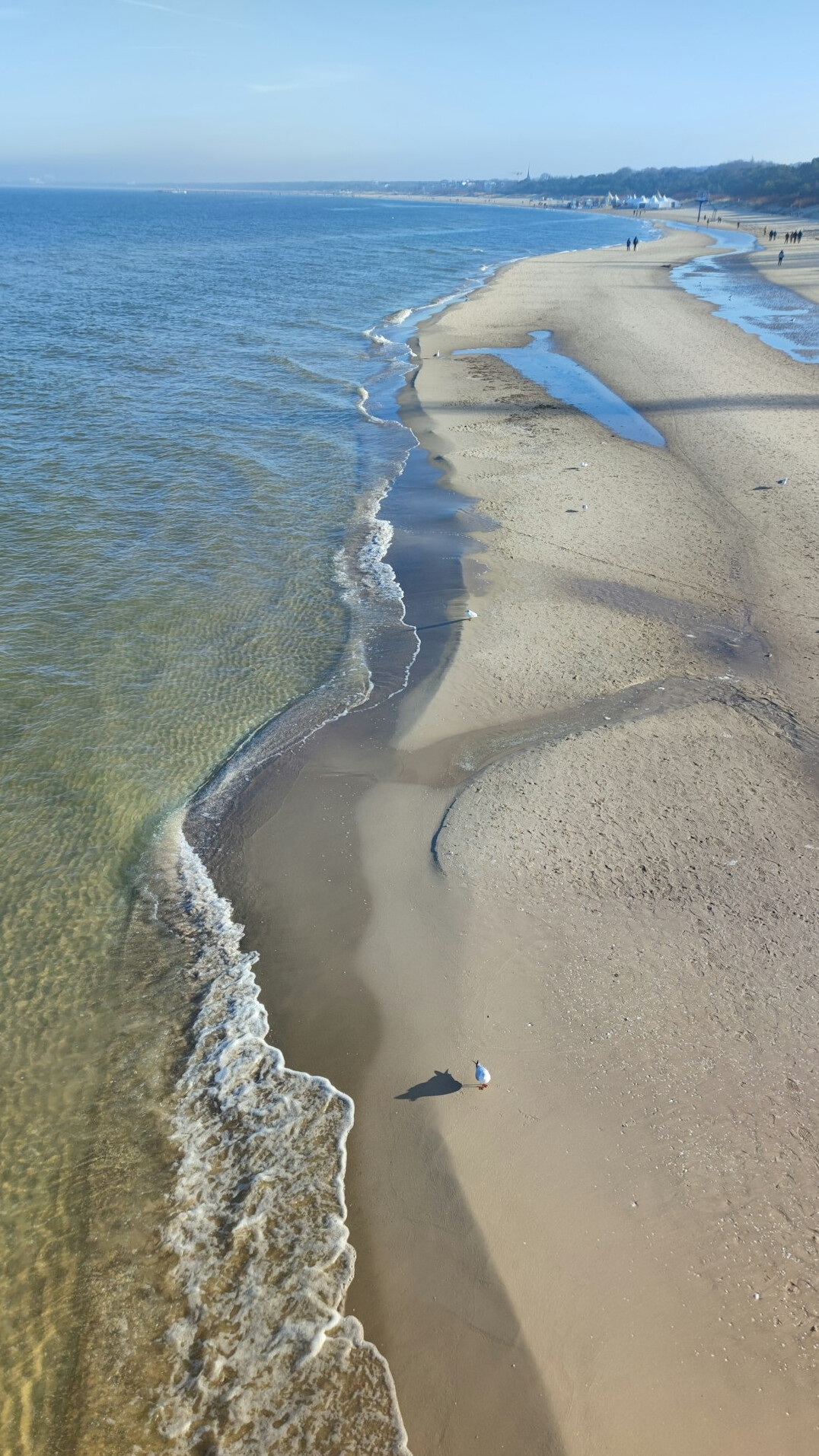 baltic sea coast