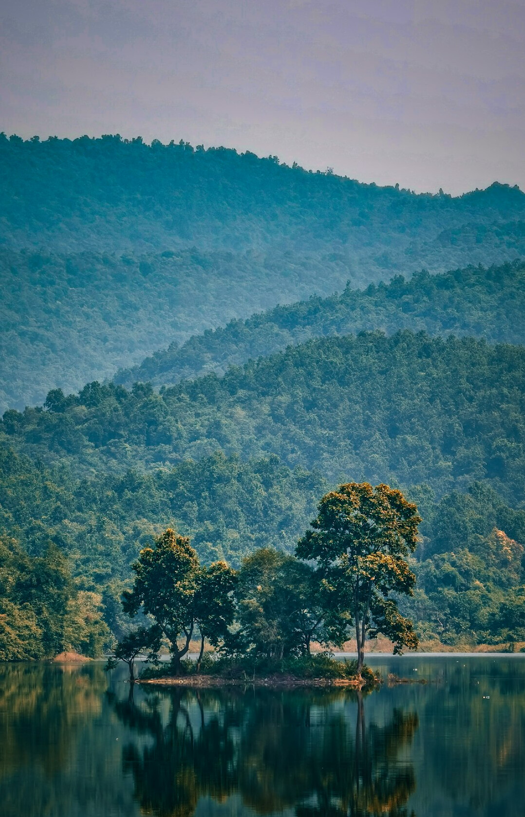 Calm lake surrounded by forest and hills